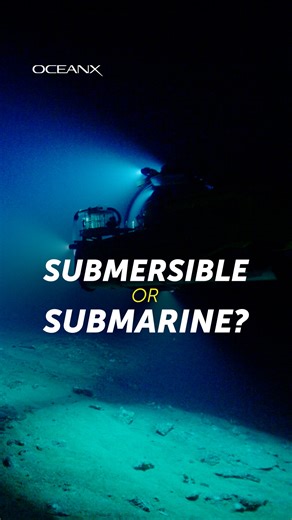 58K views · 1K reactions | One question we get asked a lot at OceanX is "are submersibles and submarines different?" They are. In this video, we'll go over some of the basics that make submersibles – what we use on OceanXplorer – distinct from submarines. | OceanX | Facebook