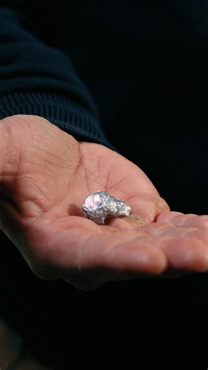 17K views · 223 reactions | Why choose a bonded bullet? Jonas Hellentin, Brand Manager at Norma, talks about bonded vs. non-bonded bullets – and what happens when shooting at short distances.  Do you use Bondstrike even at short distances? Share your experience below! | Norma Ammo | Facebook