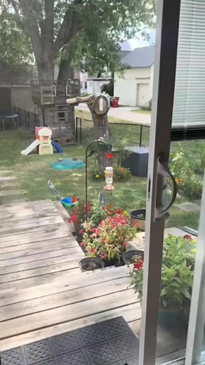 I wanted somewhere for the hummingbirds to land and someone suggested adding zip ties to my feeder pole and it worked!!!!! Now they can perch and it c... | I Love Hummingbird