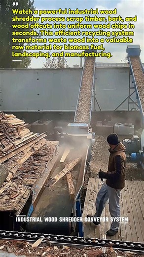 Wood Shredder Turns Scrap Timber into Valuable Wood Chips #shorts #woodworking #machinery