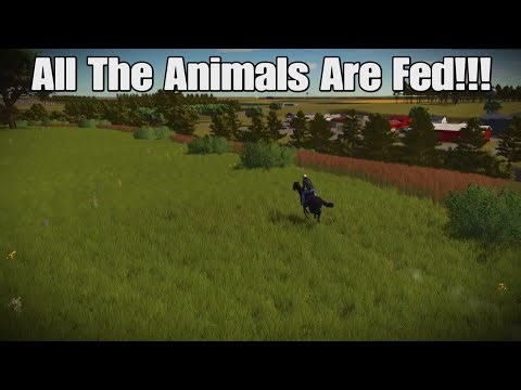Panhandle Caprock: Episode #4. Buying/Feeding Animals Complete + Training Horses!!! FS25 PS5.