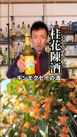 【キンモクセイの酒】桂花陳酒を15秒で紹介してみた