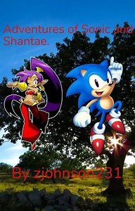 Adventures Of Sonic And Shantae - Story Short: Shantae's new car