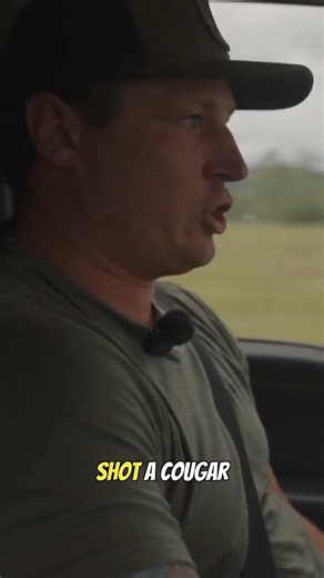 My Cougar Hunting Rule: Only a Big One!