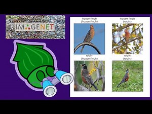 Mini-ImageNet image-classification (and cross validation)