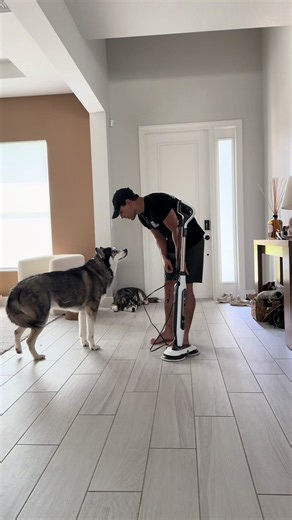 Life With 11 Animals: Tips for Managing Dogs, Puppies & Horses