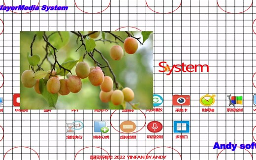 06多窗口播放设置