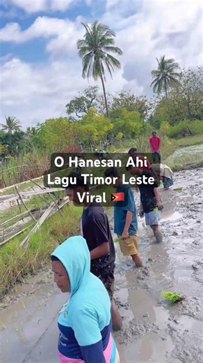 Lagu Viral Timor Leste 🇹🇱 O Hanesan Ahi Cover Terbaik #lagupestatimur