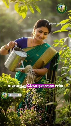 Grow Ashoka Flowers at Home FAST | Easy Care Tips for Constant Blooms 🌸 | #shorts