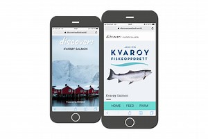 Discover Feed Transparency Tool | Aquaculture | Fish Focus