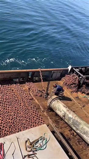 Exploring Sea Life on Ship Life Adventures