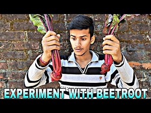 Awesome Science Experiment With Beetroot|| Making Indicators||यह चुकंदर अपना रंग बदलता है || Try it