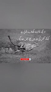 A Cheetah Never Runs With Dogs | Know Your Worth 🐆