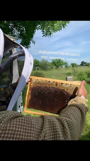 Si vous souhaitez en apprendre plus sur l’apiculture, dites le nous ! #apiculture #cevennes #montpellier #abeilles #beekeeper #miel #ruche #apiculteur