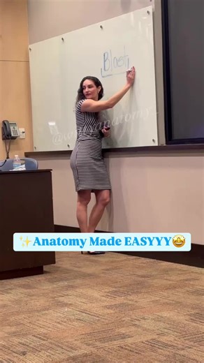 Master Anatomy Using Latin and Greek Roots