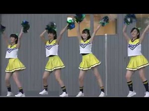 [4K]常磐大学高等学校チアダンス部7@常磐大学・2017ときわ祭, Japanese high school girls dance, 高中女生熱舞, 文化祭, 禁転載.
