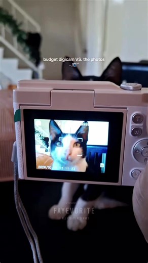 Exploring Affordable Digital Cameras Under $100