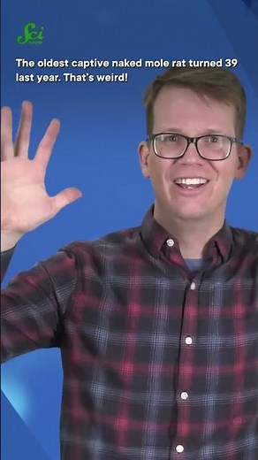 Why don’t naked mole rats age? #shorts #science #scishow