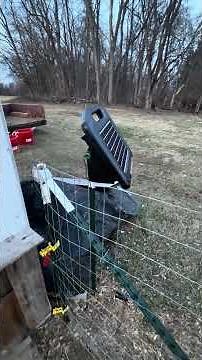 Join us for day 2 of the goat pen project! #goats #homesteadlife #smallfarm #horses #chickens