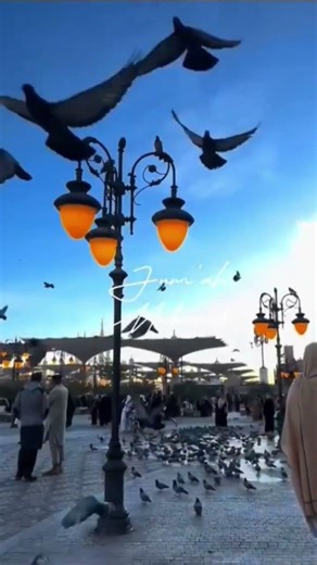 yah nabi Muhammad islamic voice #shorts #shortvideo #short #shortsfeed #shortsvideo #viral #love