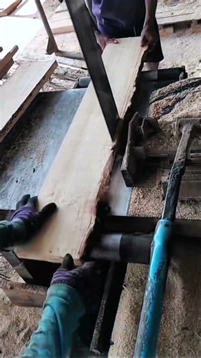 The process of sawing teak, mahogany and rubber wood for block materials #shorts #hardware_USA#diy