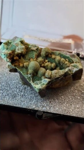A+ Wavellite on Variscite - 1960s Old Stock - Garland County, Arkansas - RARE!!
