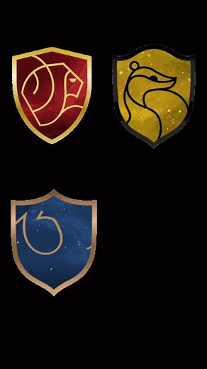 Harry Potter stuff on TikTok