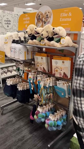 From Idea to Target: My Dogs’ Products Now Available in Stores