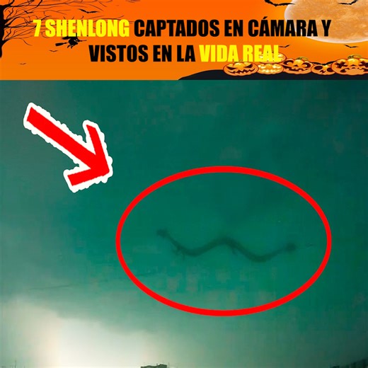379K views · 24K reactions | 7 SHENLONG Captados en CÁMARA y Vistos En La VIDA REAL | Histórias de Vida | Facebook