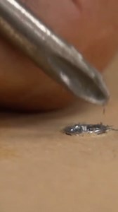 1.5M views · 25K reactions | ️ Stripped screw giving you trouble? Check out Tom Silva's quick tips for removal and get back to your project in no time! | This Old House | Facebook