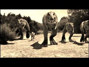Dino King - Frérot