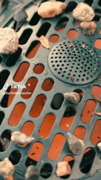 More mud. More music. That’s Turtlebox logic for ya… #livefree