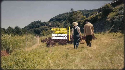 The True Cost of Industrial Agriculture