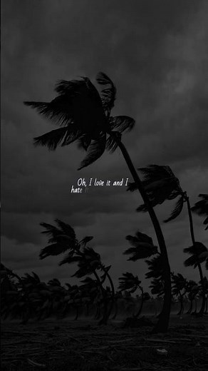 Daylight – David Kushner | lyrics | aesthetic | Whatsapp Status | English songs | speed up #viral