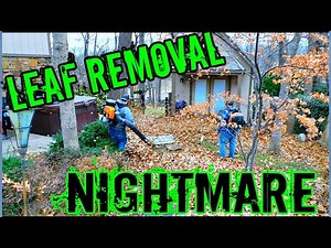 Start to Finish Large Leaf Clean up / Complained clean up cost more than house payment.. I said OK