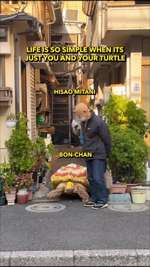 NextShark on Instagram: "what dapper gentlemen⁠ ⁠ 71-year-old man Hisao Mitani has spent nearly three decades caring for Bon-chan, a 27-year-old African spurred tortoise weighing about 154 pounds. ⁠ ⁠ The pair are a familiar sight in the Tsukishima neighborhood, where Bon-chan often strolls the streets wearing custom outfits like rain jackets and caps. Mitani began walking Bon-chan daily after the tortoise experienced a major growth spurt around age 10. ⁠ ⁠ Adopted in the late 1990s when he was