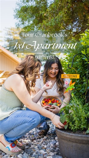 Cranbrook Apartments on Instagram: "Take a quick tour with us! 🏠 Cranbrook is NOW LEASING! Have any questions? Give us a call at 530-756-9522 to schedule your tour today! 🌳🍃"