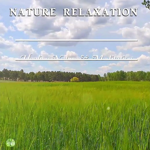 🌿FRESH MORNING Ambience & Gentle Breeze in Green Fields to Start POSITIVE 🌿 Healing Spring Sounds