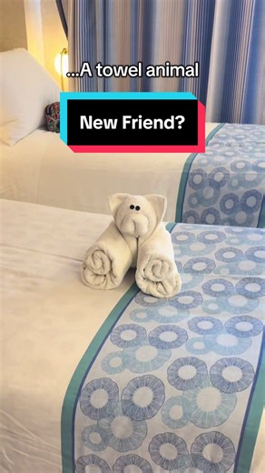 Creating Fun Towel Animals on a Cruise