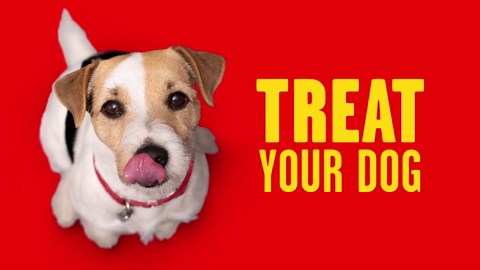 Pup Peroni Original Beef Recipe Dog Treats, 5.6 oz Bag