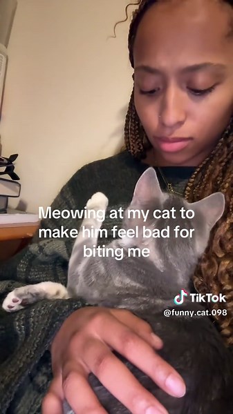 Don't Meow at the Cat: A Hilarious Encounter