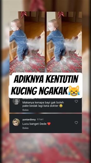 Adiknya Kentutin kucing😂🤣 #lucu #memengakakkocak #bikinngakak