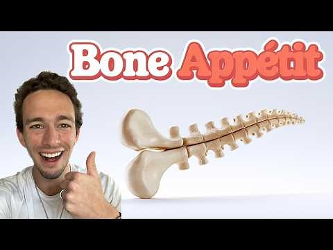 Endochondral Ossification - Step by Step!