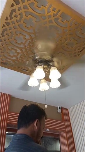 smart BLDC fan with light