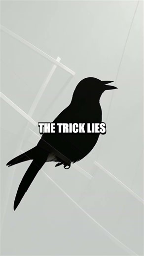 Minimalist Three-Stroke Animal Sketch A Bird Emerges