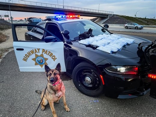 California traffic stop leads to massive drug bust, 20 pounds of meth