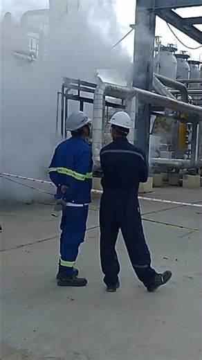 “Engineer Ban’na hai? Pehle ye Plant Testing Dekho 🔥”