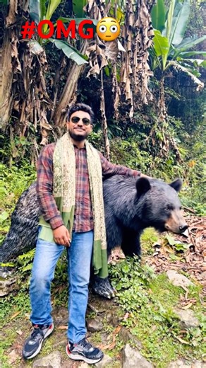 #OMG 😦 #jungle #bear #shorts #viral #junglesafari #reels #india #darkpsychology