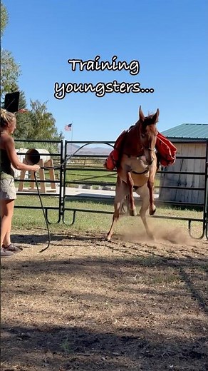 What a ride! 😊🙏🏼 #blessed #mule #horse #mountains #horses