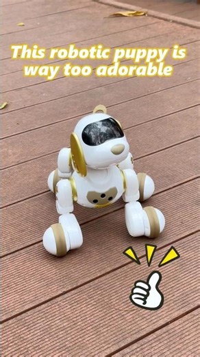 I found a cute puppy, but…it’s a bit of batter hog🔋 #robot #unboxing #ruko #robotdance #fyp